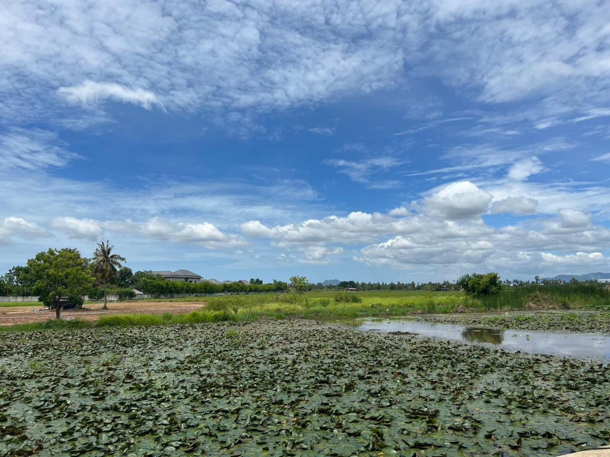 On Green Resort Ban Huai Sua Ngoại thất bức ảnh