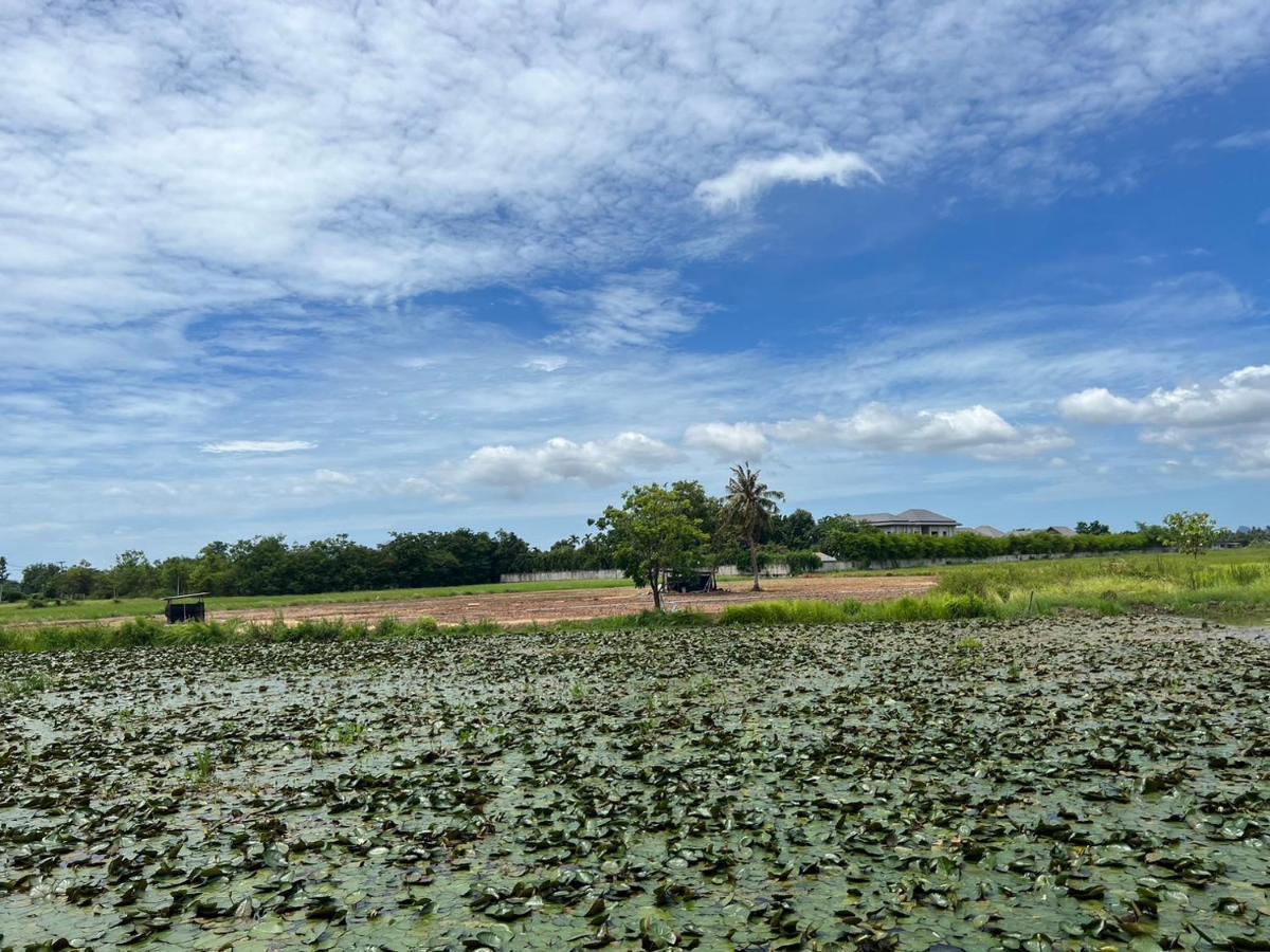 On Green Resort Ban Huai Sua Ngoại thất bức ảnh