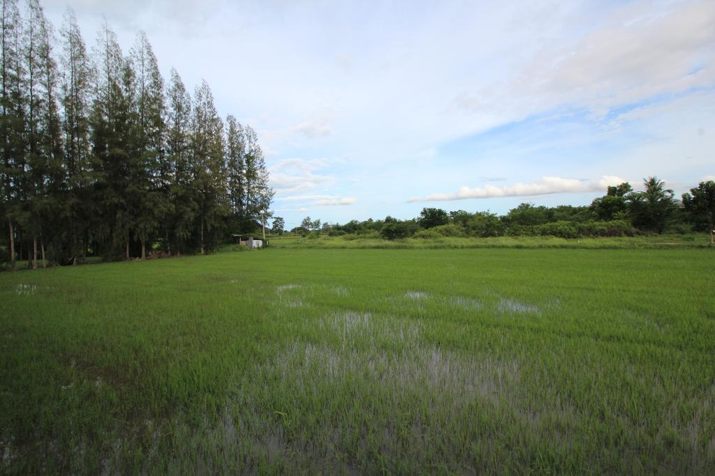 On Green Resort Ban Huai Sua Ngoại thất bức ảnh