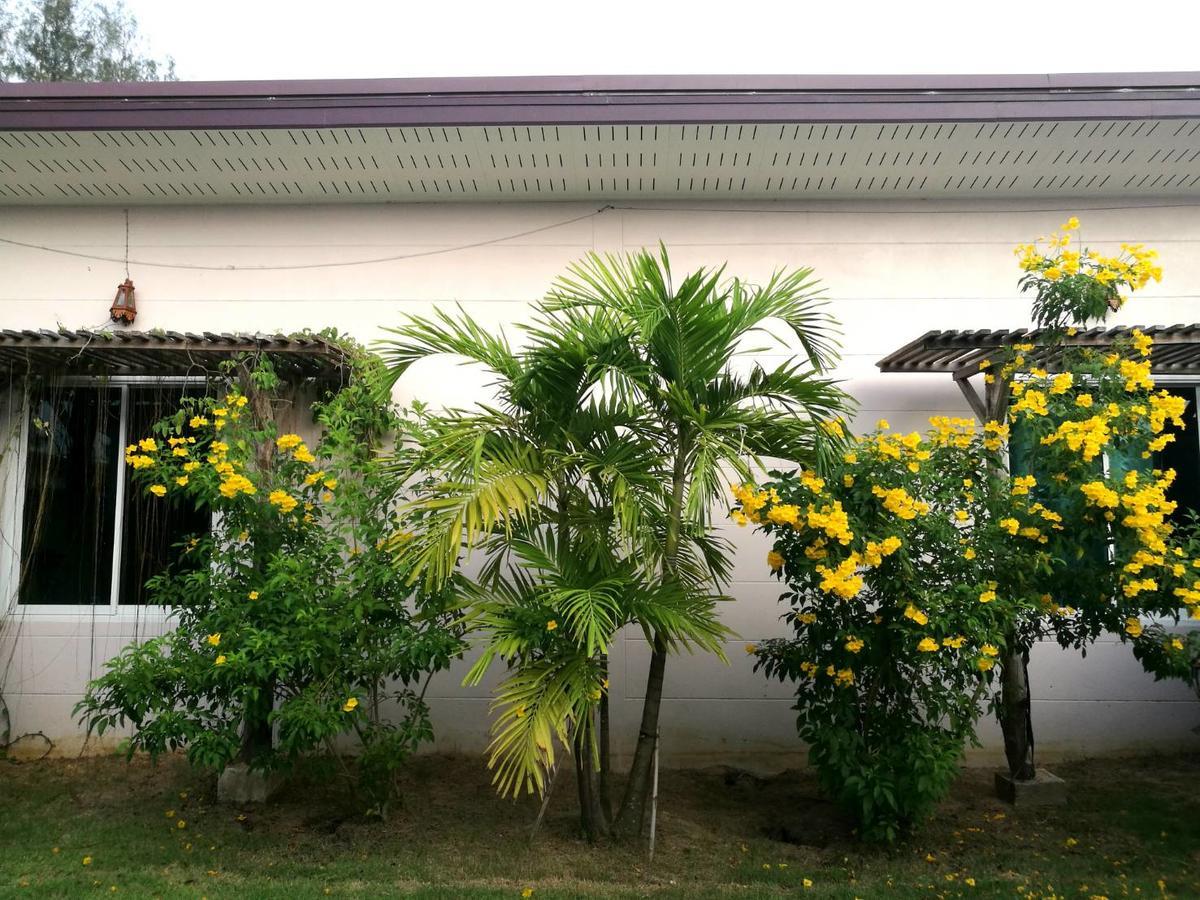 On Green Resort Ban Huai Sua Ngoại thất bức ảnh