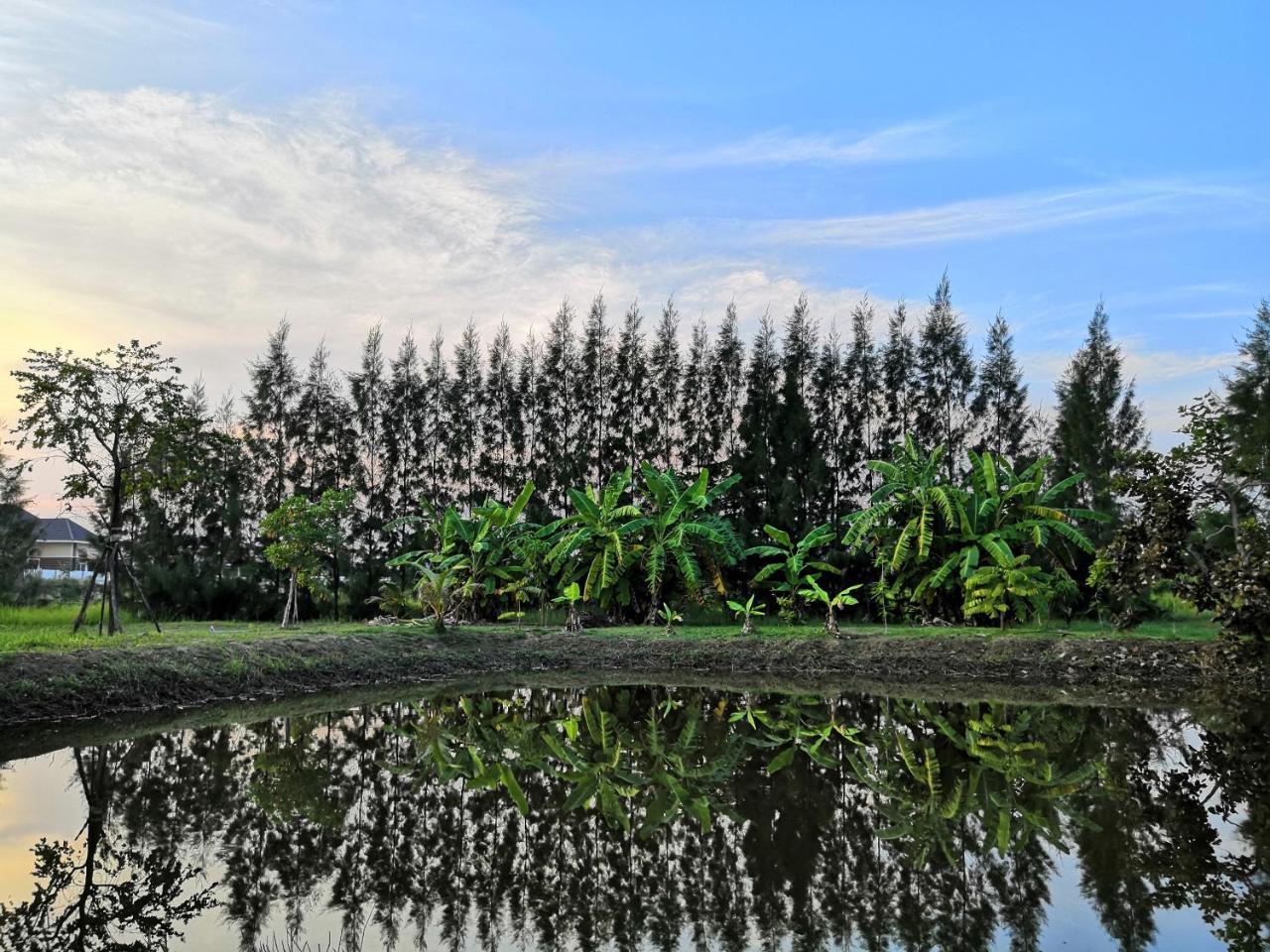 On Green Resort Ban Huai Sua Ngoại thất bức ảnh